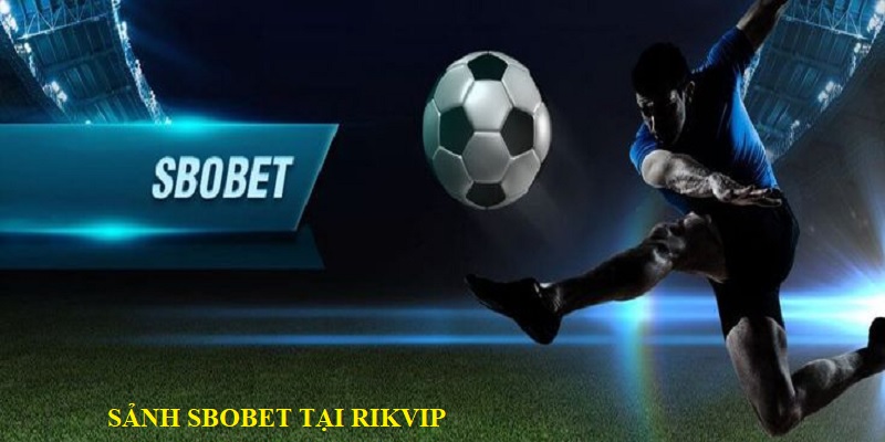 Sảnh SBOBET sport uy tín cao